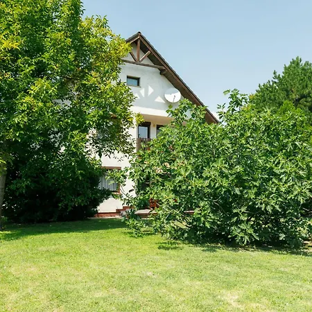 Ferienhaus Picea By Interhome Balatonfenyves